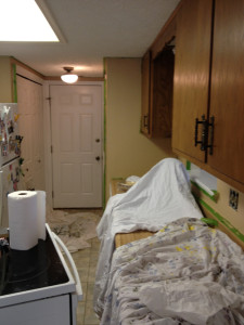 Color Blocking the Kitchen - Image 2