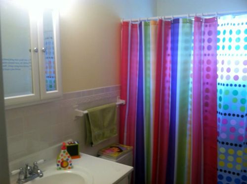 Heather Pressley Gibson Girls Bathroom - Shower Curtain