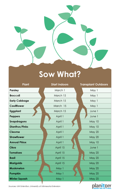 Planning Your Garden - Sowing Chart
